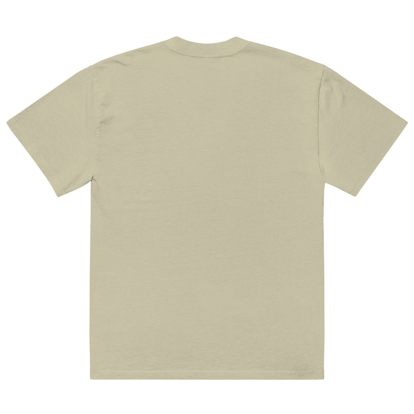 TrulyGifted Oversized Faded T-shirt